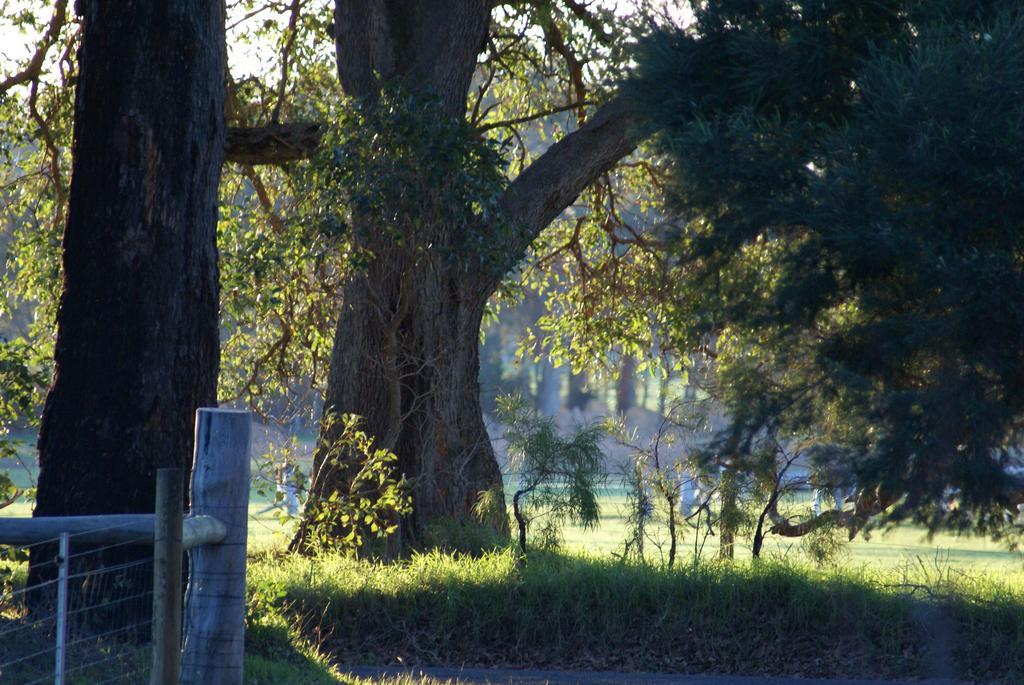 Ellensbrook Cottages Cowaramup Esterno foto