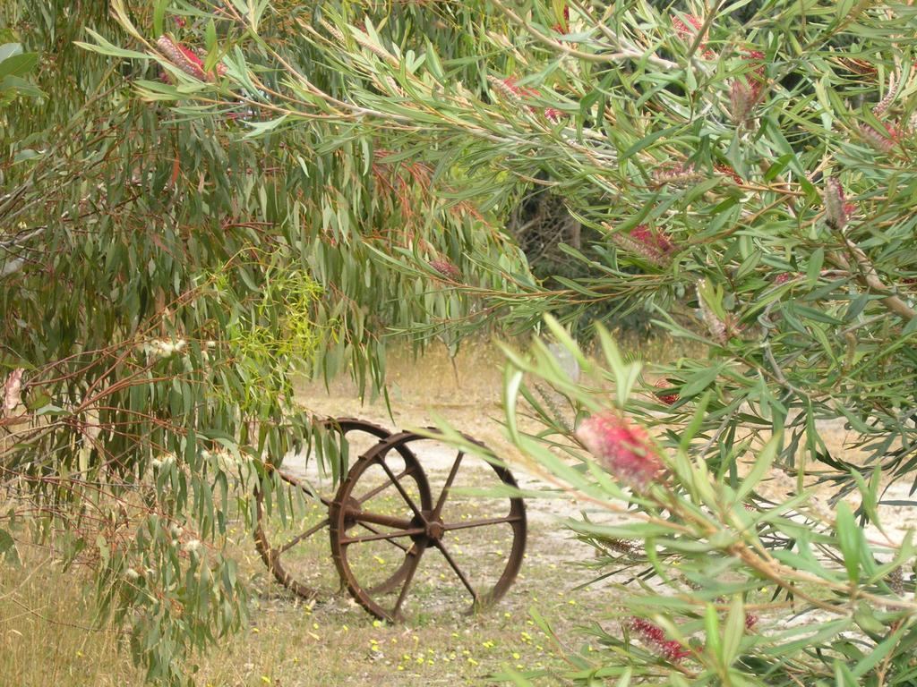 Ellensbrook Cottages Cowaramup Esterno foto